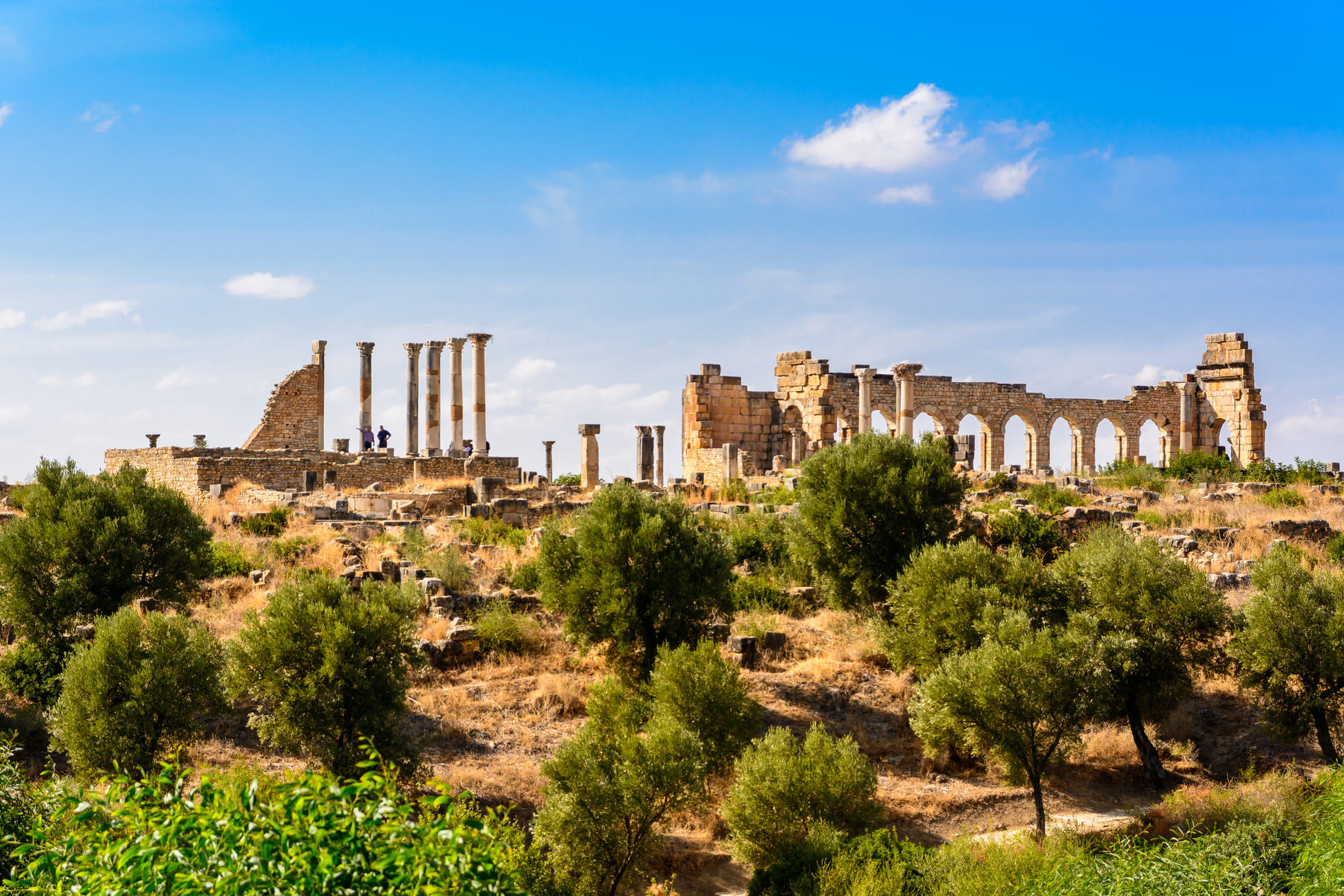 Maroc-volubilis
