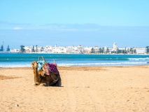 Plage d'Essaouira