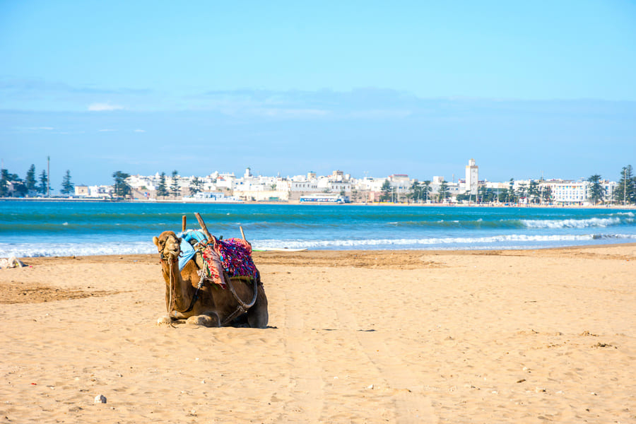 Plage d'Essaouira