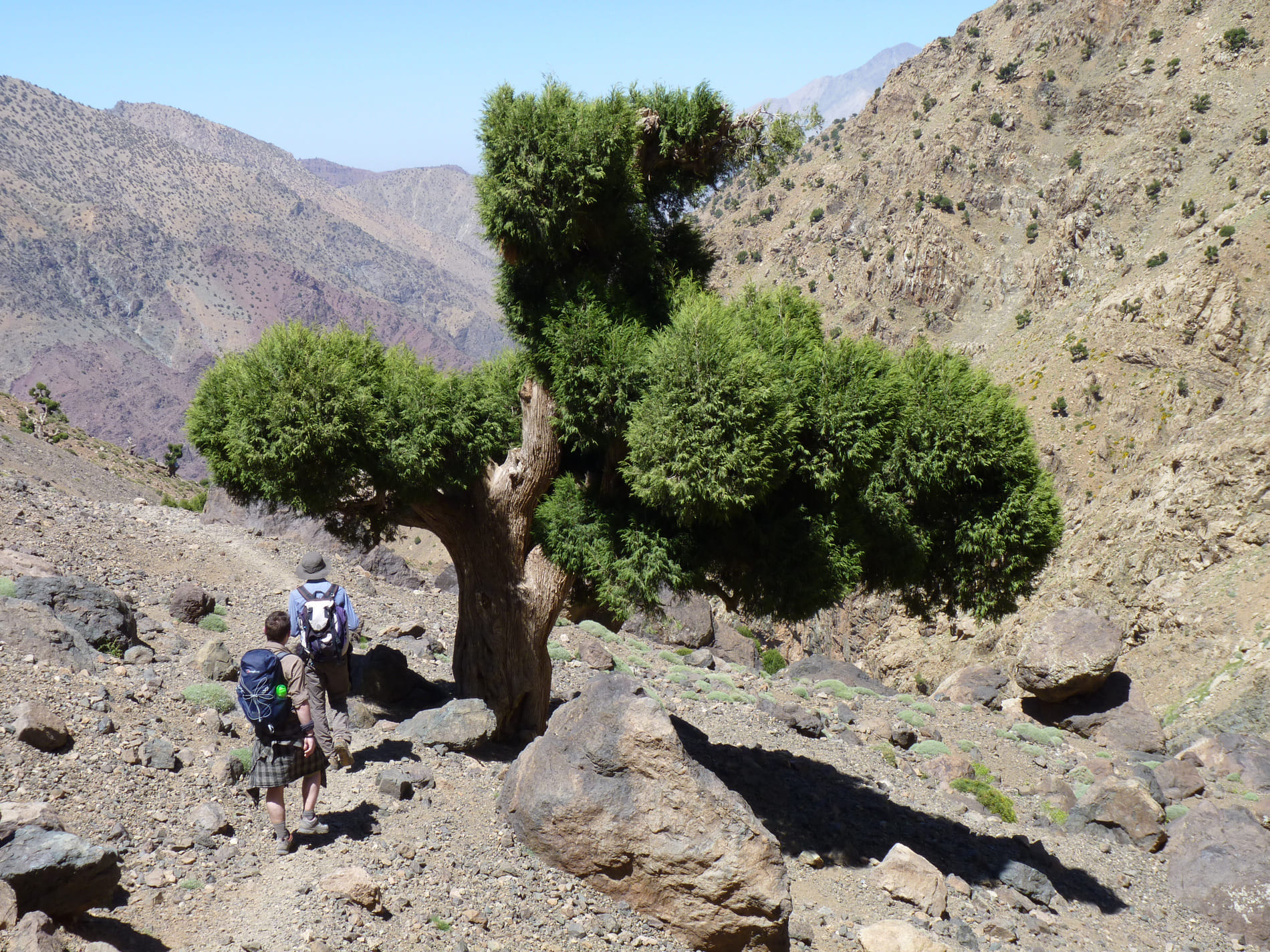 toubkal-ascension