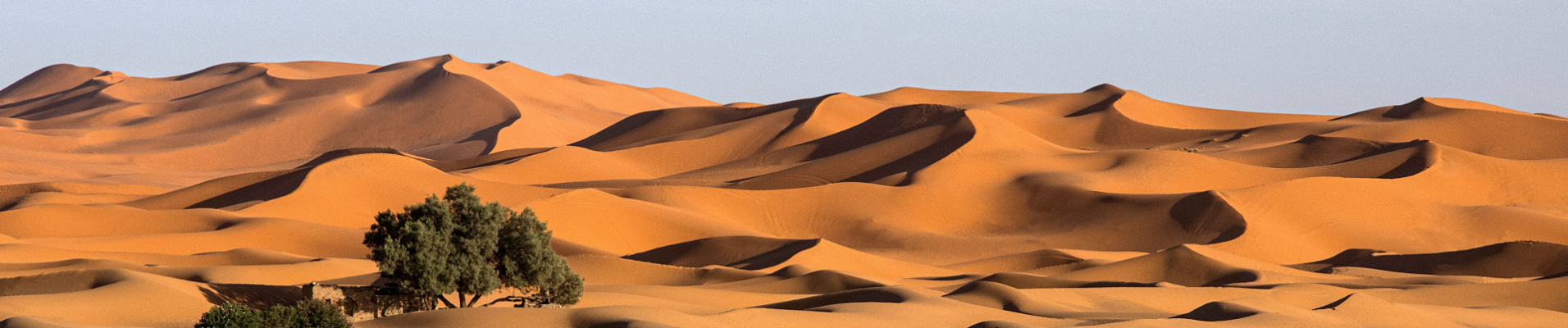 incontournable-nature-maroc-desert