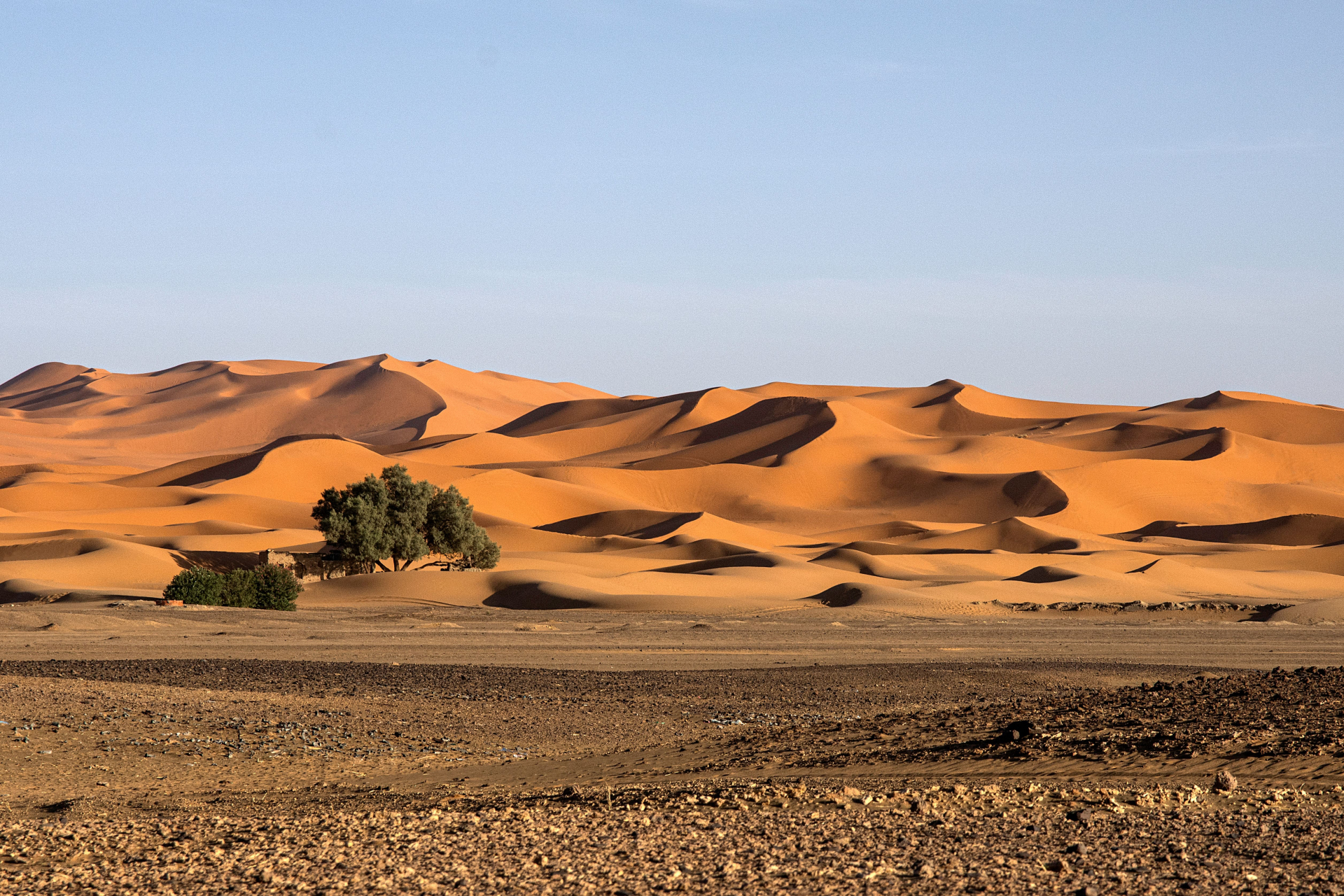 incontournable-nature-maroc-desert