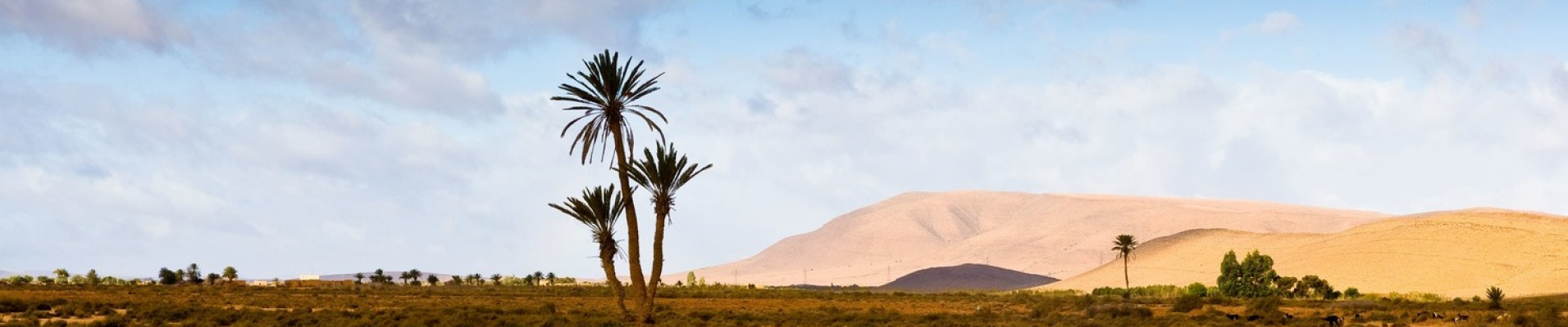 La pharmacie »Berbère » – Savoir vivre au Maroc