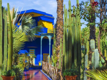 Le Jardin Majorelle, amazing tropical garden in Marrakech, Morocco.