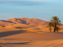 Désert marocain