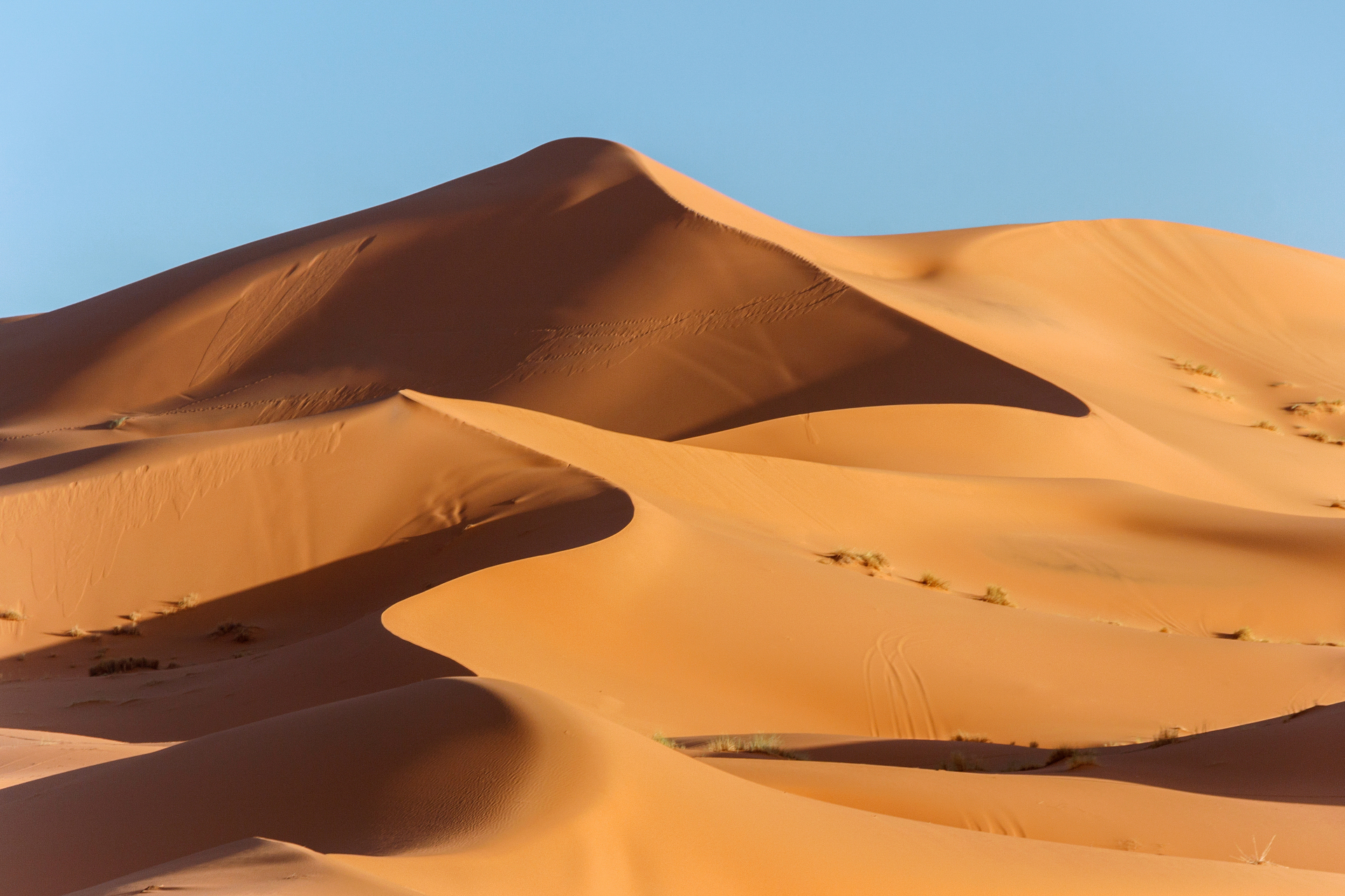 sahara-marocain