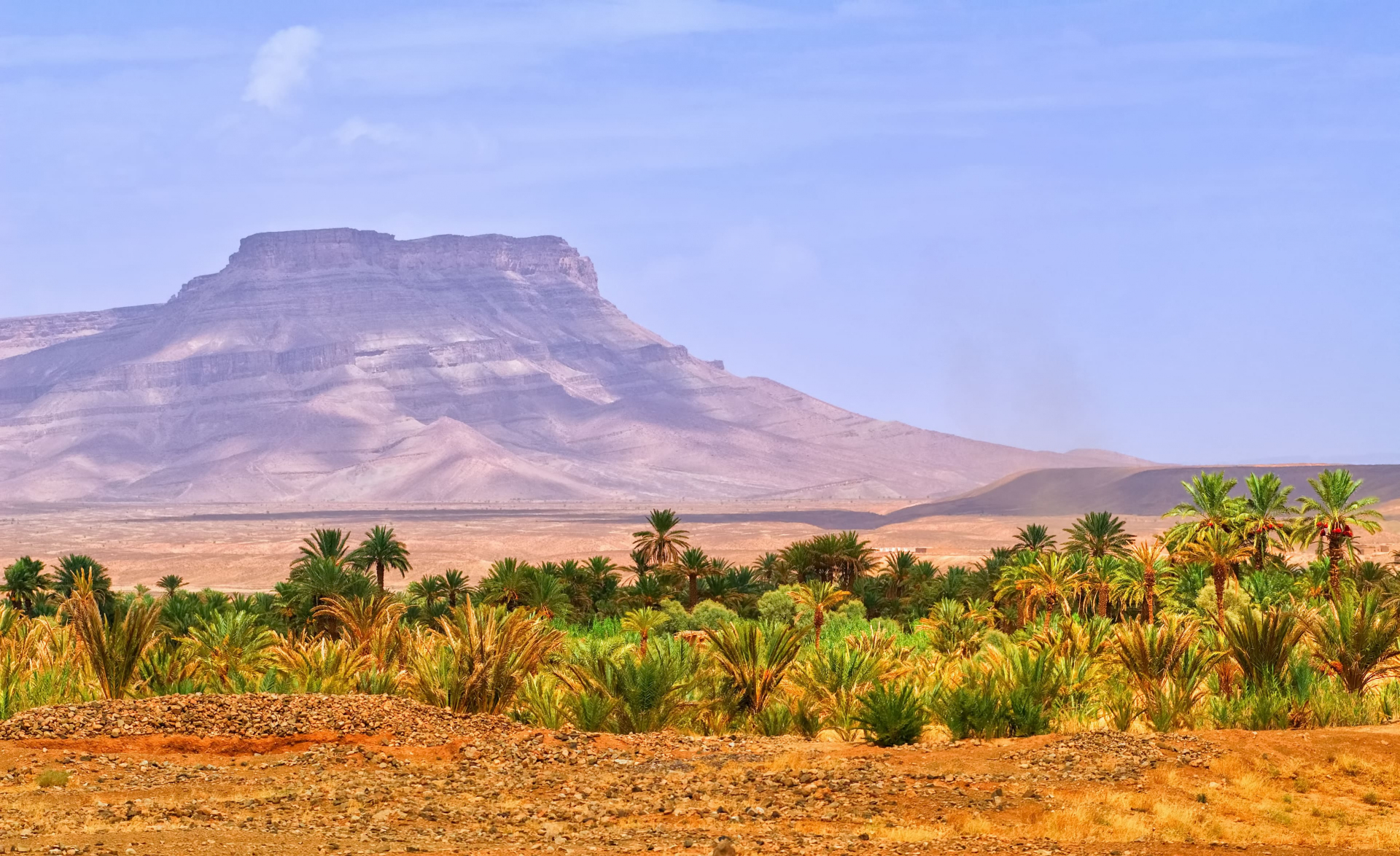 vallee-du-draa-maroc