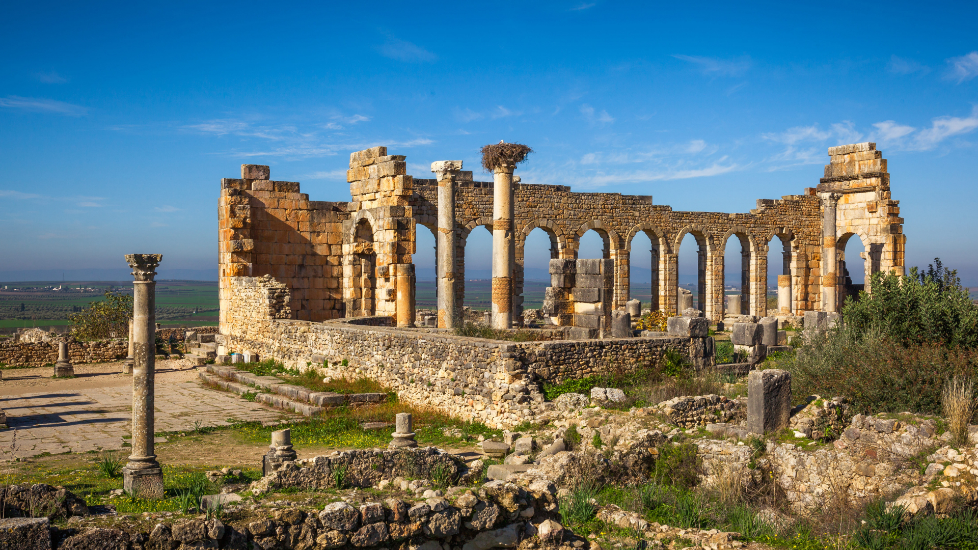 volubilis-maroc