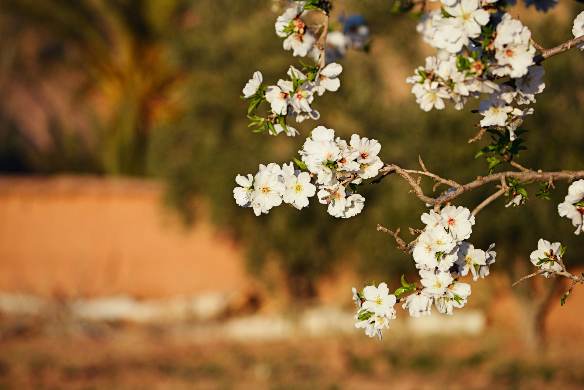 assurance-etapes-marocaines