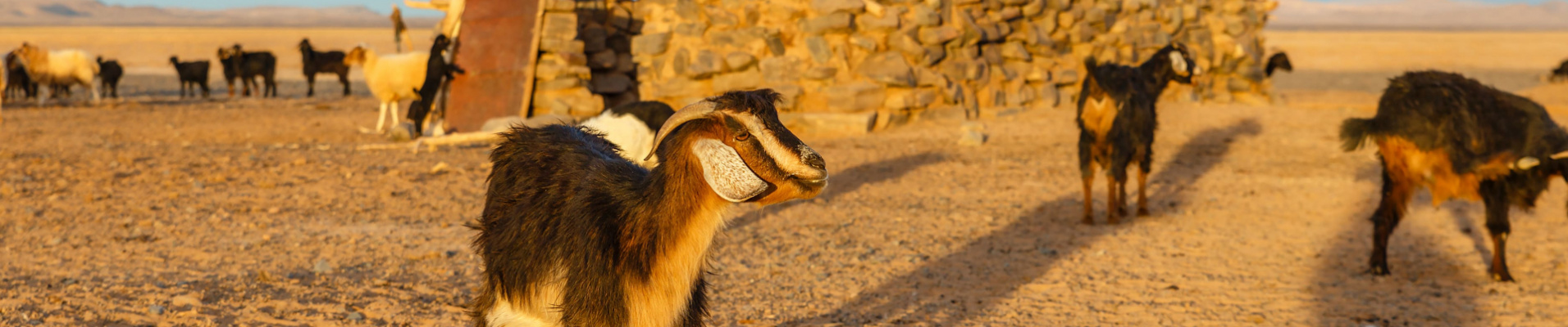 communaute-bynativ-etapes-marocaines