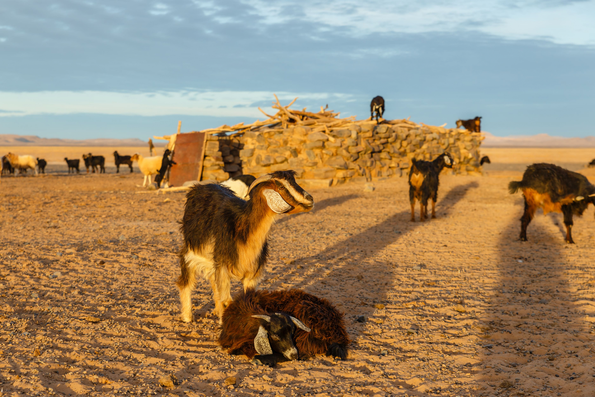 communaute-bynativ-etapes-marocaines