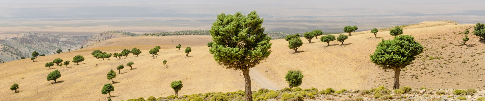 engagements-responsables-maroc