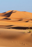 Merzouga