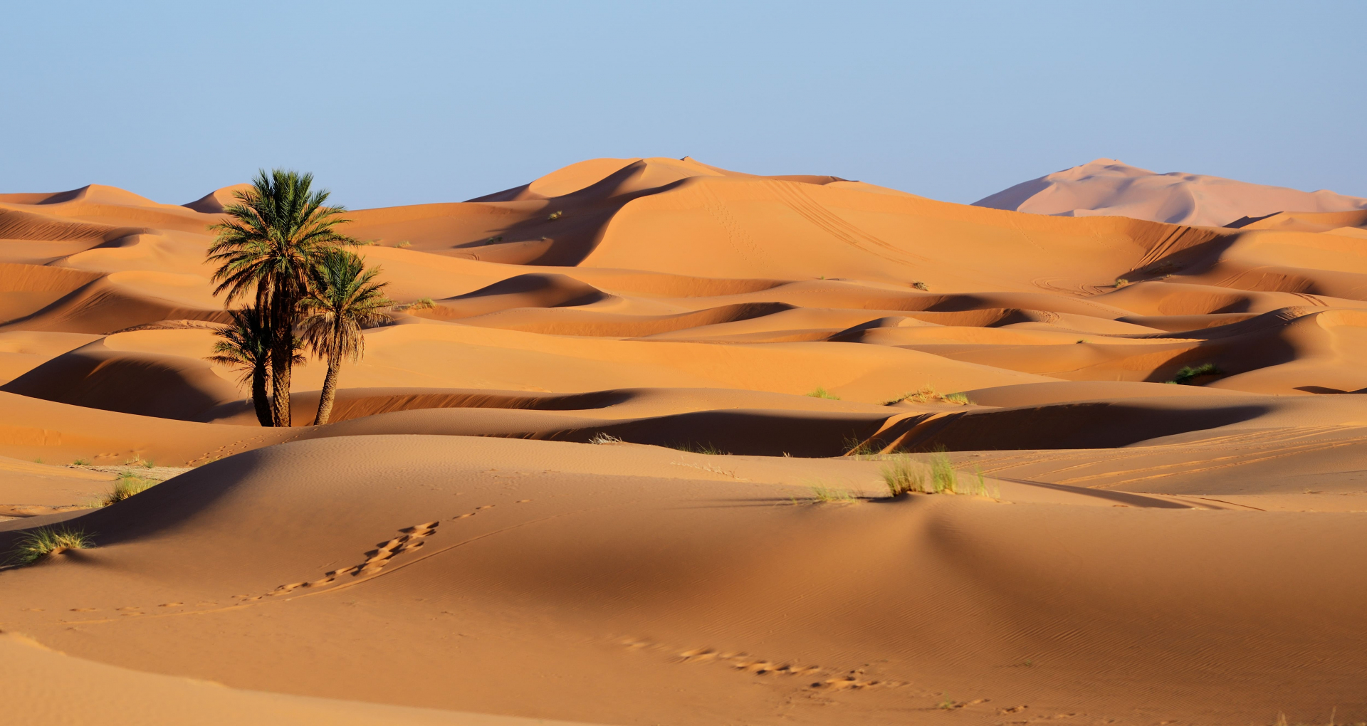 region-atlas-et-sahara