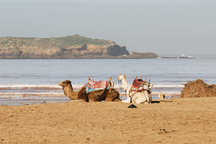 essaouira