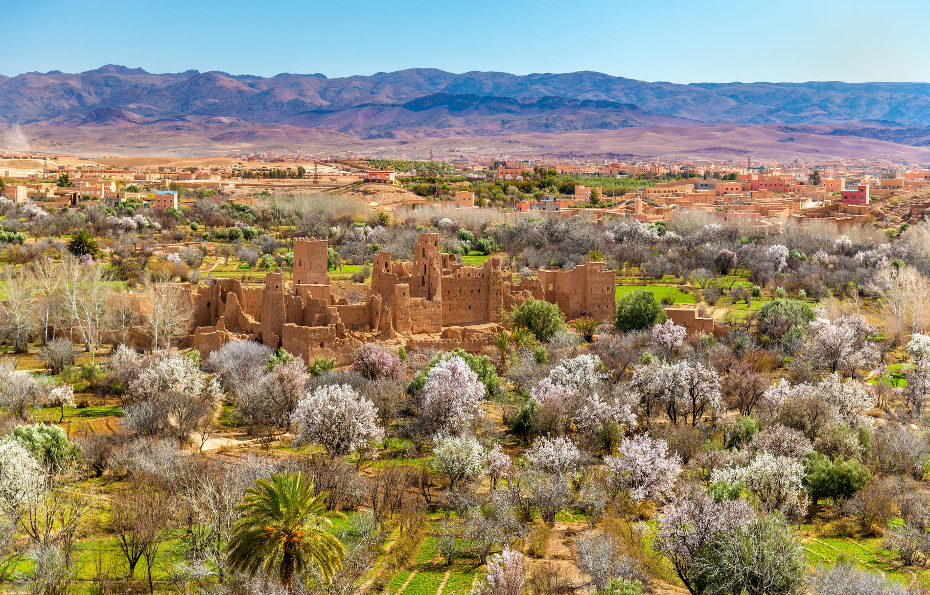 maroc-abecedaire